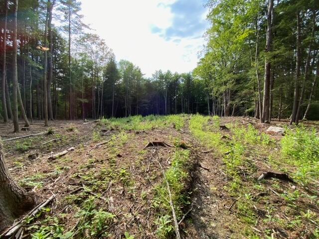 0 Iron Wood Road New Gloucester, ME 04260 - Photo 6 of 10 image7
