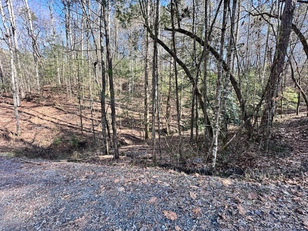 3764 R Eagle Mountain Ellijay, GA 30540 - Photo 1 of 19 Main View