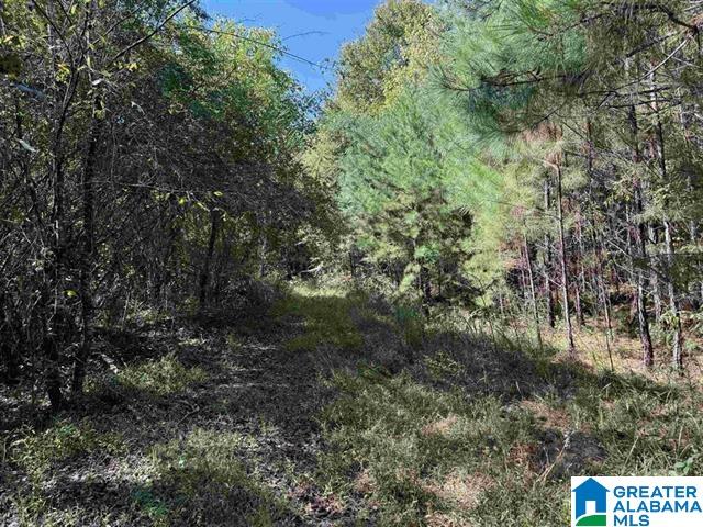 1825 Gurley Road, Unit 1 Trafford, AL 35172 - Photo 4 of 5