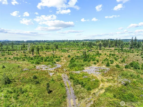 a view of a green field