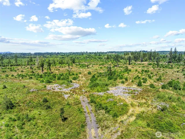 a view of a green field