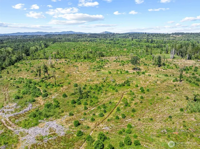 a view of a green field with lots of bushes