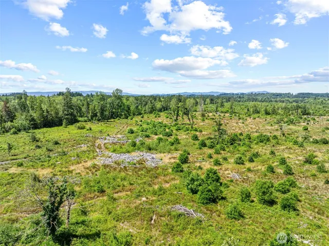 a view of a bunch of trees