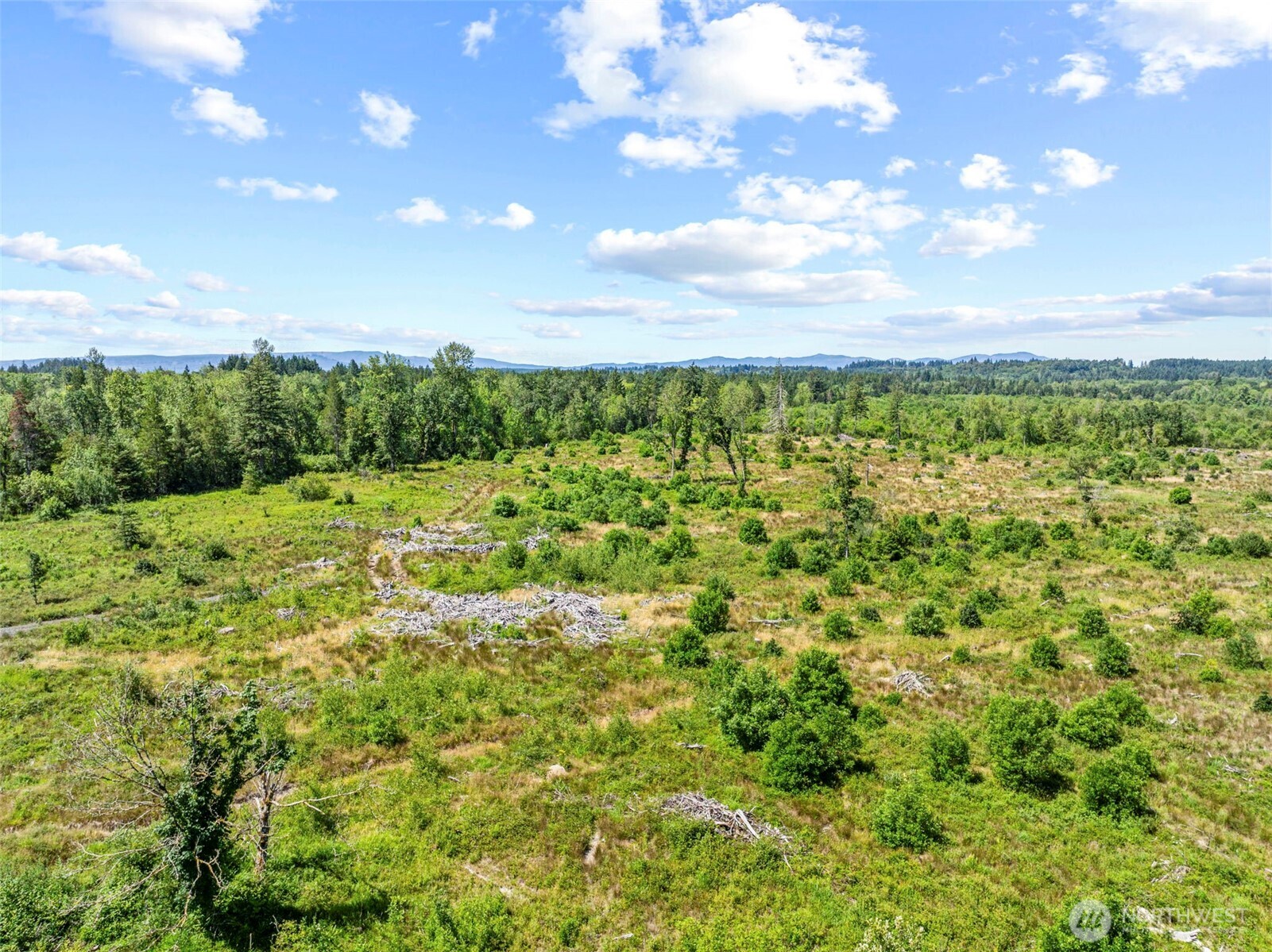 0 Sareault Road Toledo, WA 98591 - Photo 4 of 7