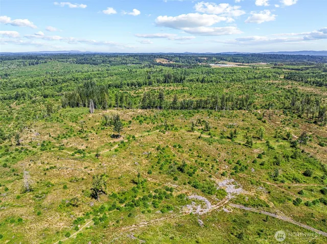 a view of a green field with an ocean
