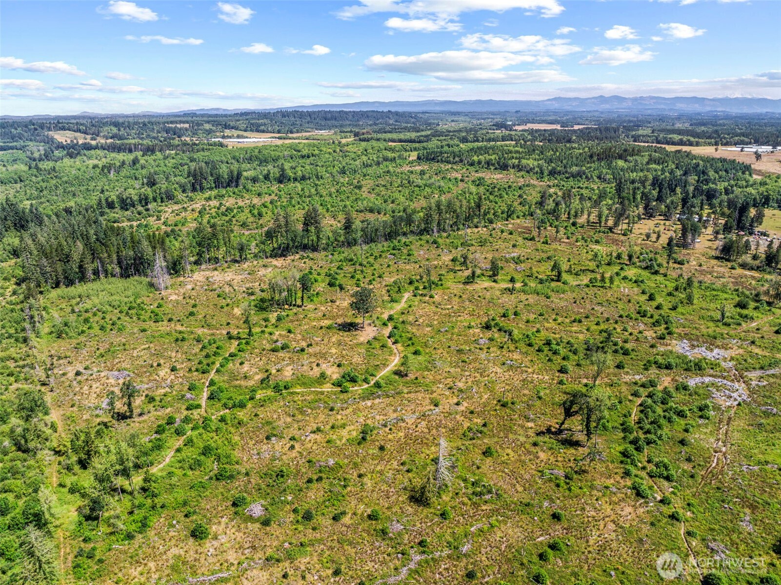 0 Sareault Road Toledo, WA 98591 - Photo 7 of 7