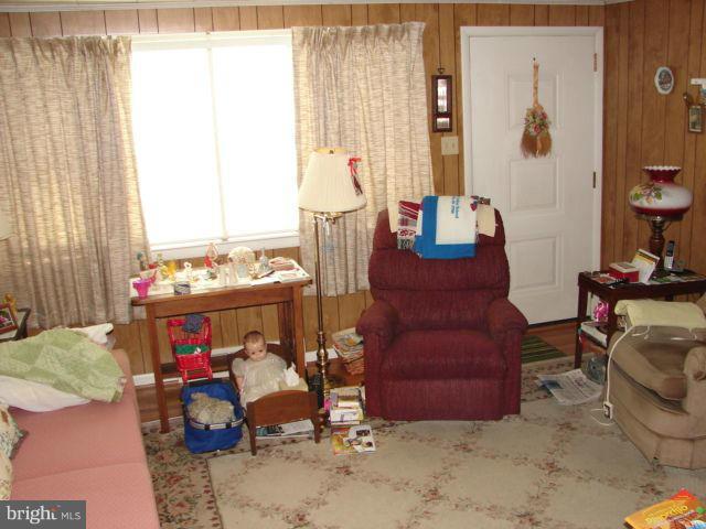 21236 San Mar Road Boonsboro, MD 21713 - Photo 14 of 18 Living Room