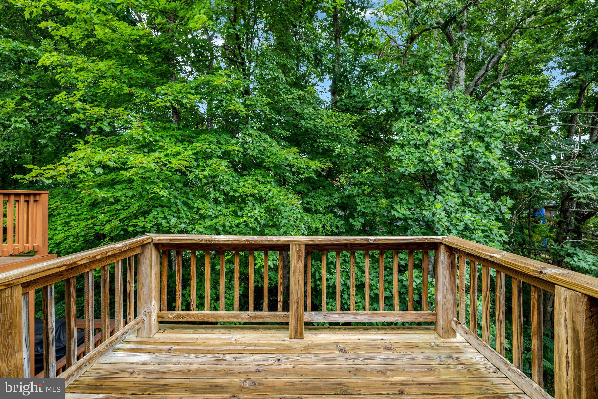 2225 Cedar Cove Court Reston, VA 20191 - Photo 23 of 59
