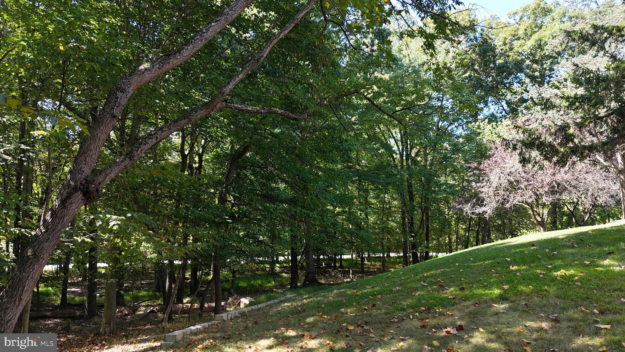 10409 Kingsbridge Road Ellicott City, MD 21042 - Photo 89 of 102 Gallery Image 89