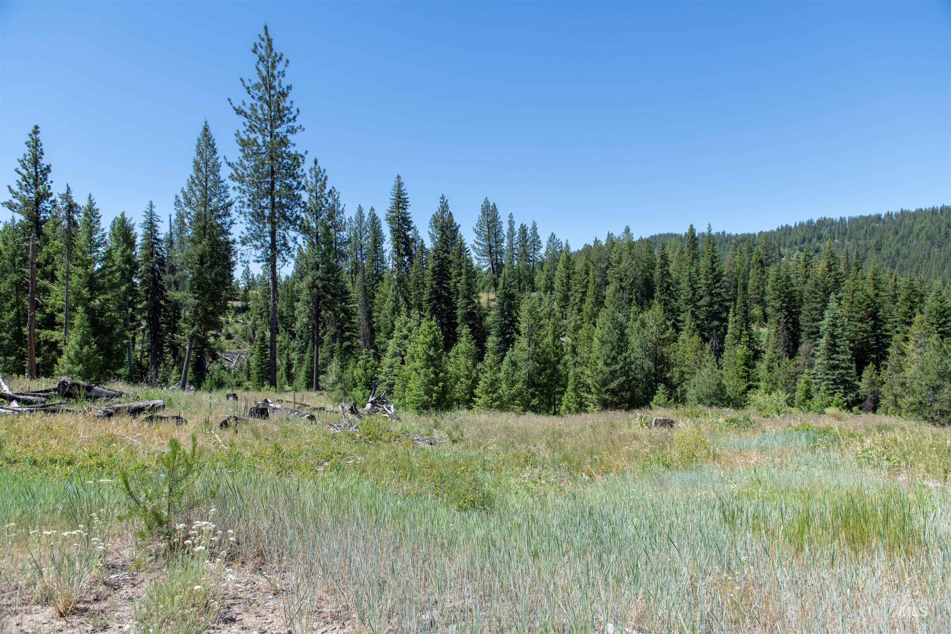 33 Clear Creek Road Cascade, ID 83611 - Photo 10 of 10