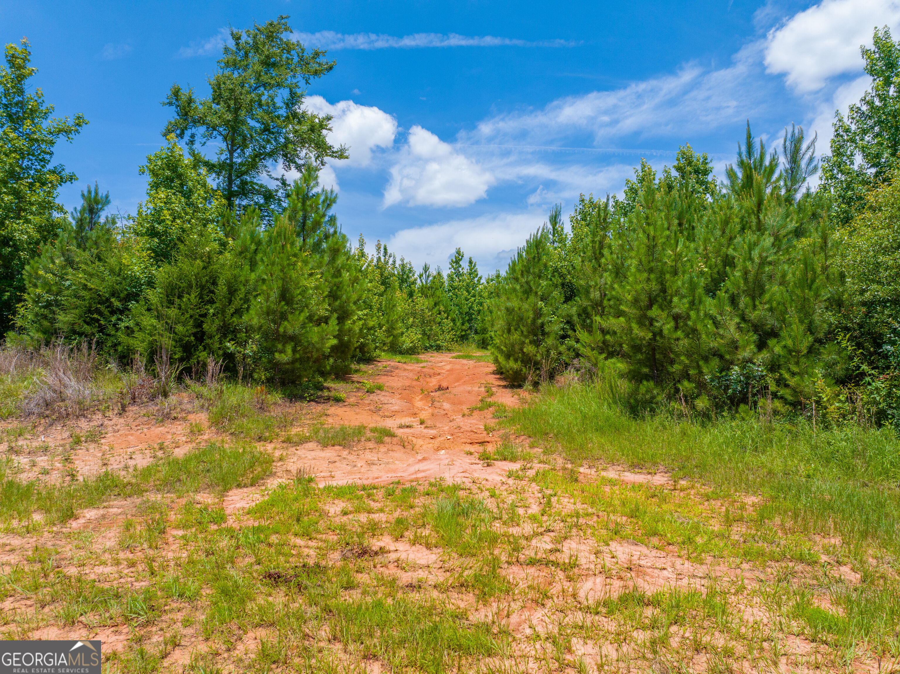 47-acres Cochran Road Madison, GA 30650 - Photo 28 of 38 Gallery Image 28