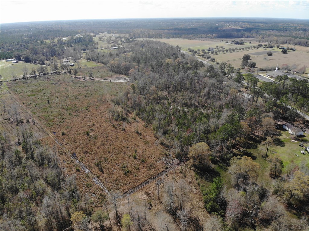 371673 Kings Ferry Road Hilliard, FL 32046 - Photo 22 of 34 a view of a dry yard