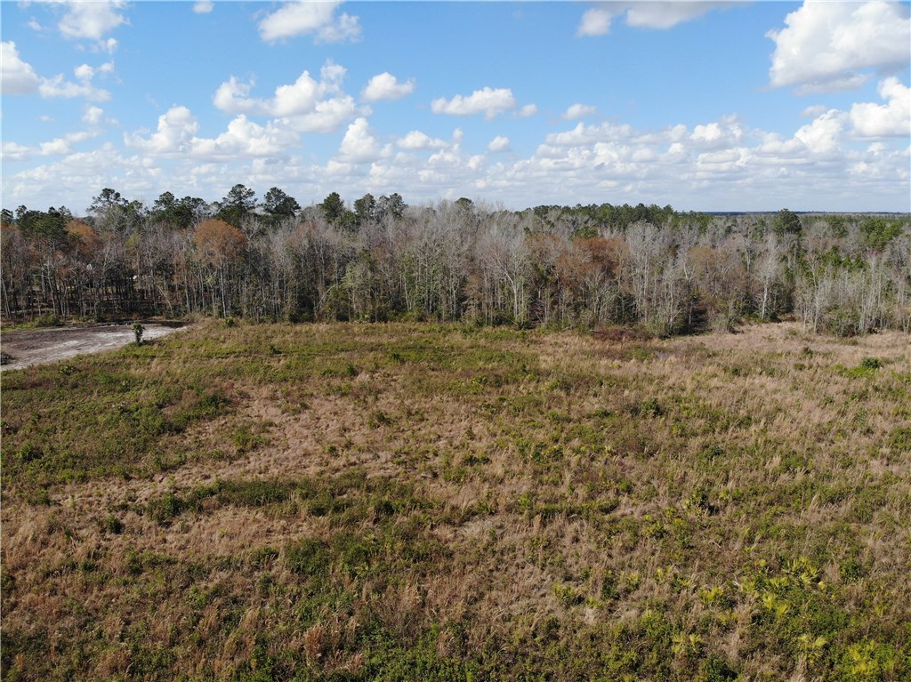 371673 Kings Ferry Road Hilliard, FL 32046 - Photo 26 of 34 a view of dirt field and trees