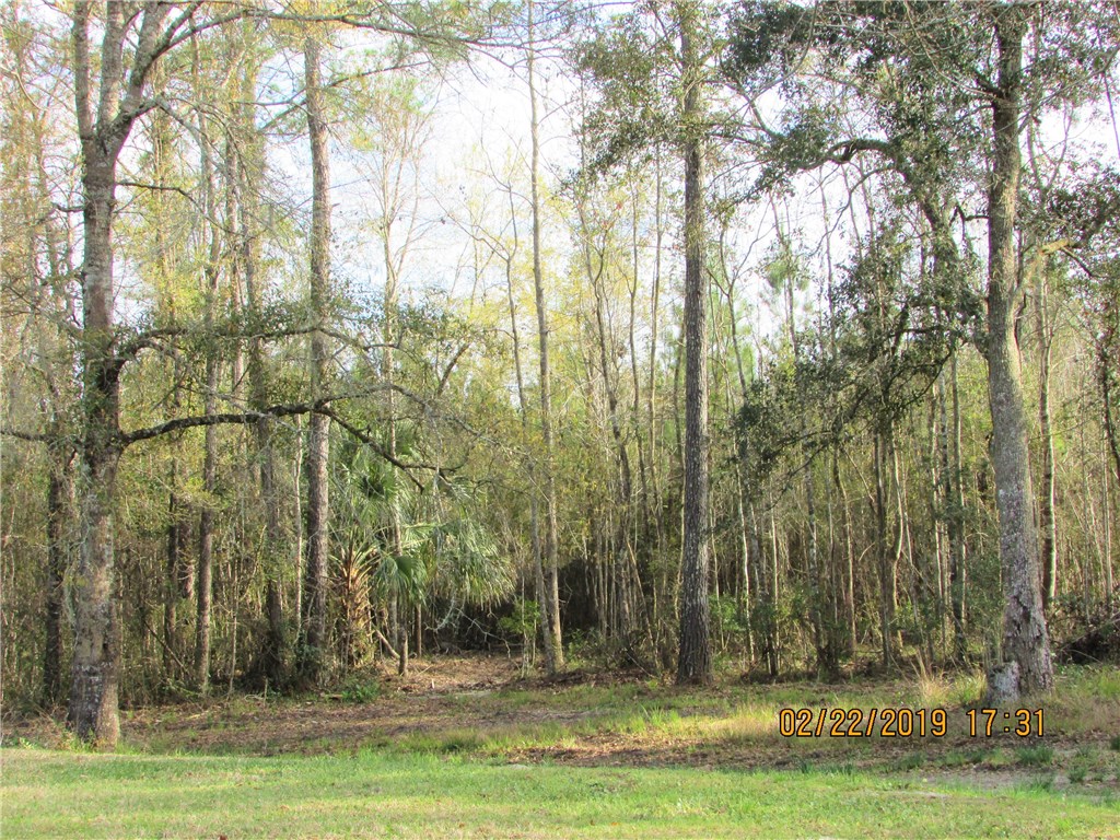 371673 Kings Ferry Road Hilliard, FL 32046 - Photo 28 of 34 a view of outdoor space with yard