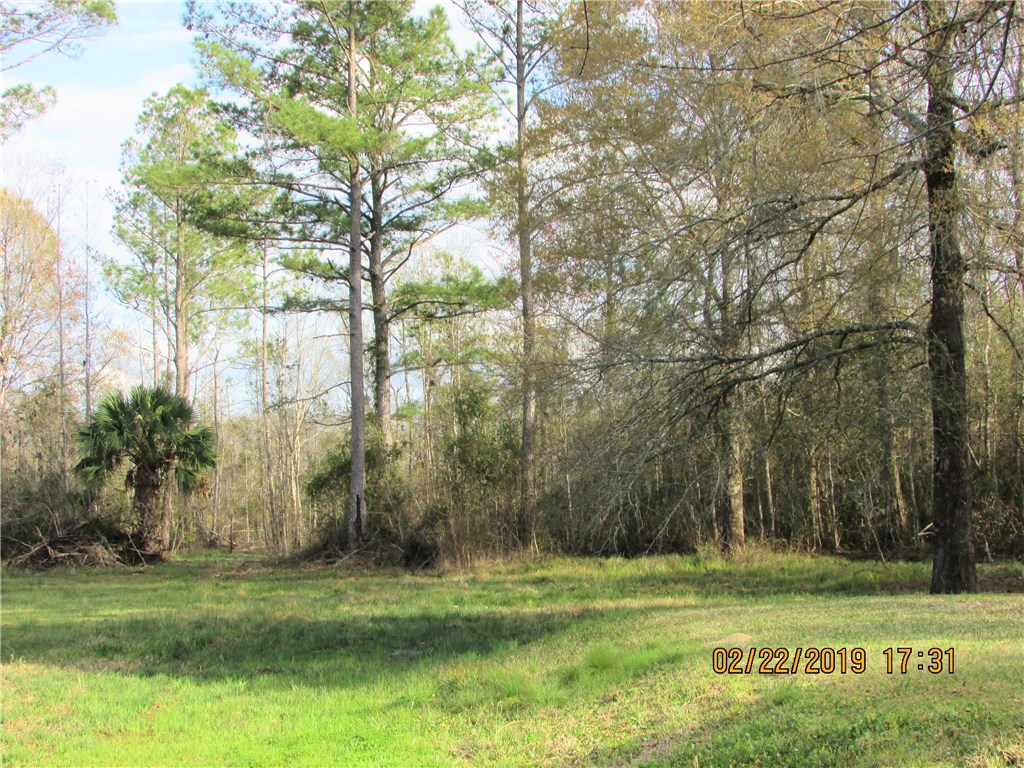 371673 Kings Ferry Road Hilliard, FL 32046 - Photo 29 of 34 a view of a grassy field with trees around