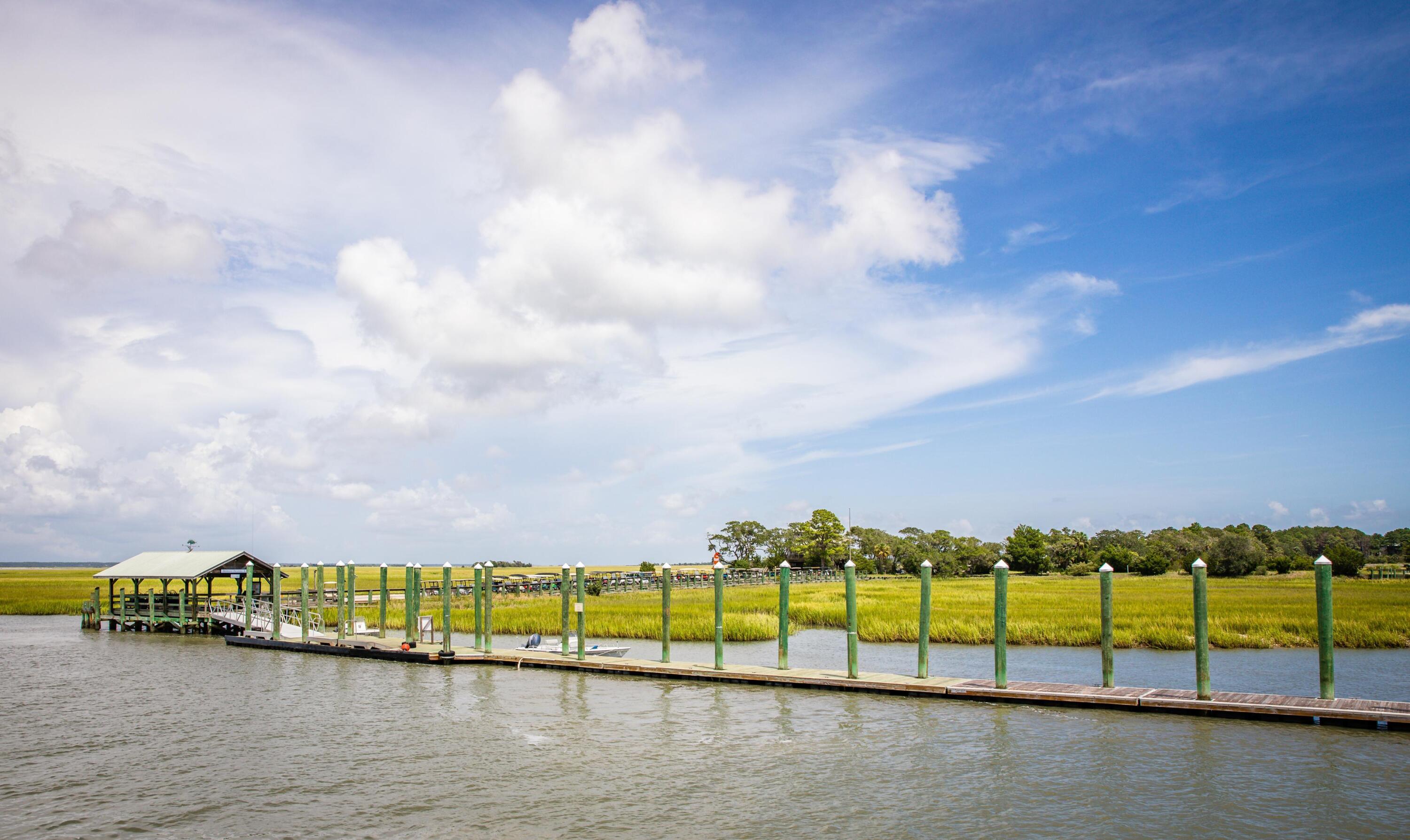 203 Lake Timicau Lane Awendaw, SC 29429 - Photo 9 of 9 EllisCreekPhotography190820-341-69