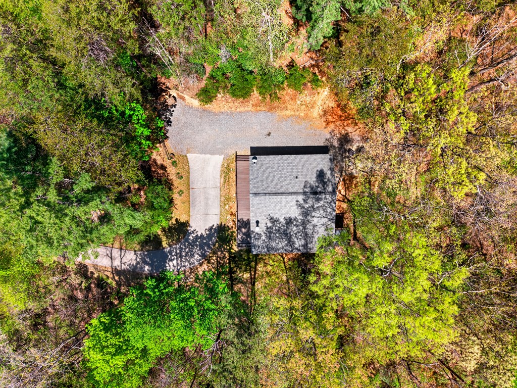 564 Weaver Creek Lane Blue Ridge, GA 30513 - Photo 2 of 37