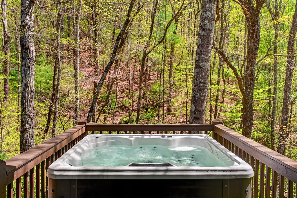 564 Weaver Creek Lane Blue Ridge, GA 30513 - Photo 29 of 37