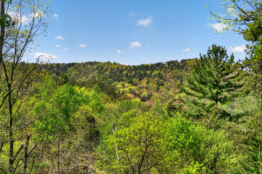 564 Weaver Creek Lane Blue Ridge, GA 30513 - Photo 3 of 37