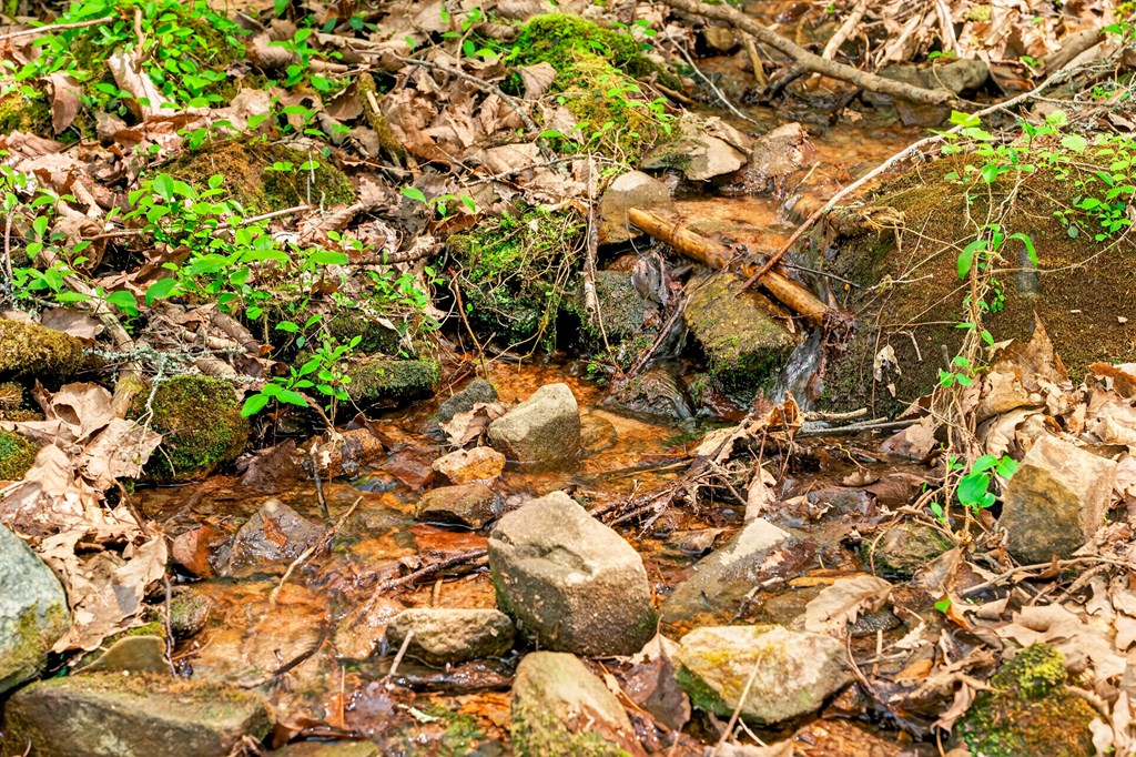 564 Weaver Creek Lane Blue Ridge, GA 30513 - Photo 35 of 37