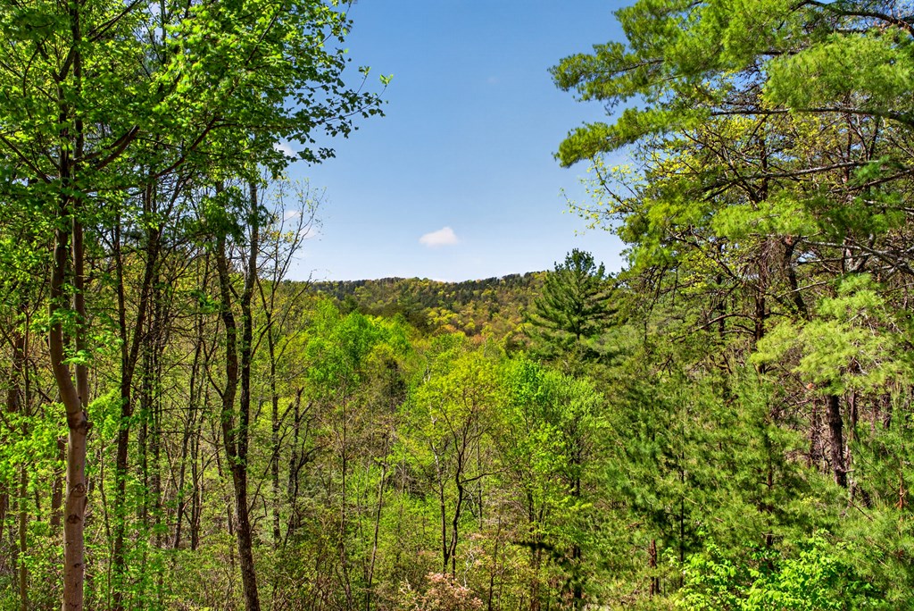 564 Weaver Creek Lane Blue Ridge, GA 30513 - Photo 36 of 37