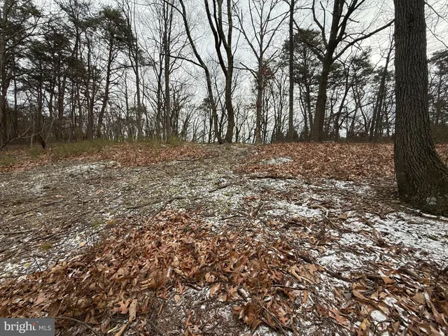 a view of outdoor space with lots of trees