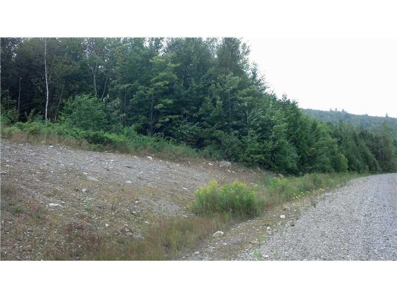 Lot # West Pleasant River Lake Road Beddington, ME 04622 - Photo 2 of 4 Land/Lot.