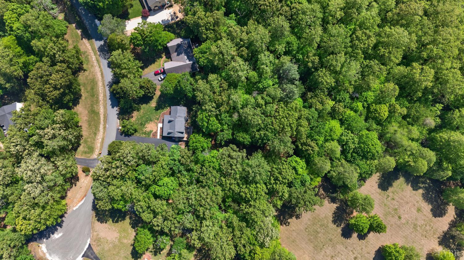 261 Blue Ridge Lane Amherst, VA 24521 - Photo 2 of 81