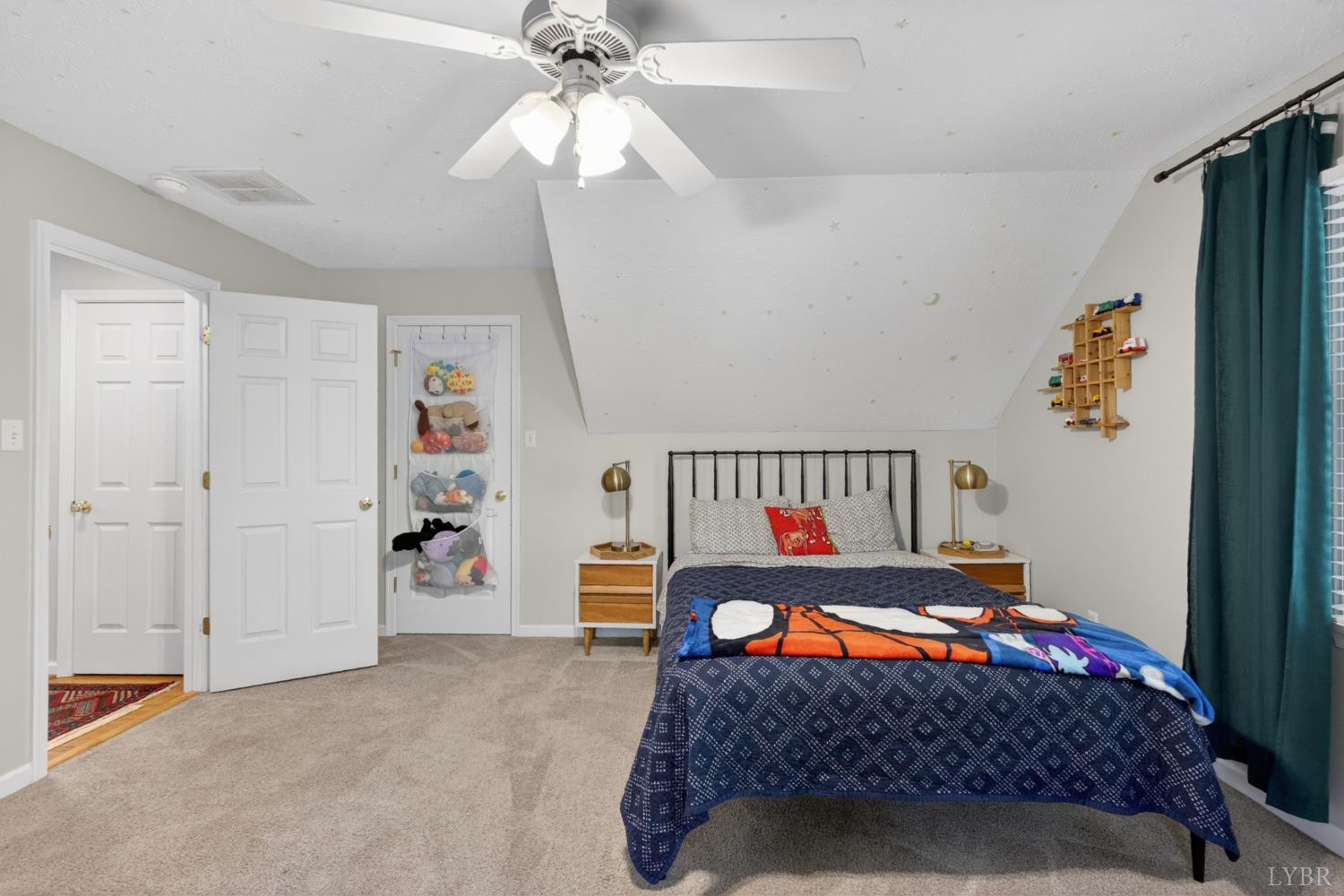 261 Blue Ridge Lane Amherst, VA 24521 - Photo 32 of 81