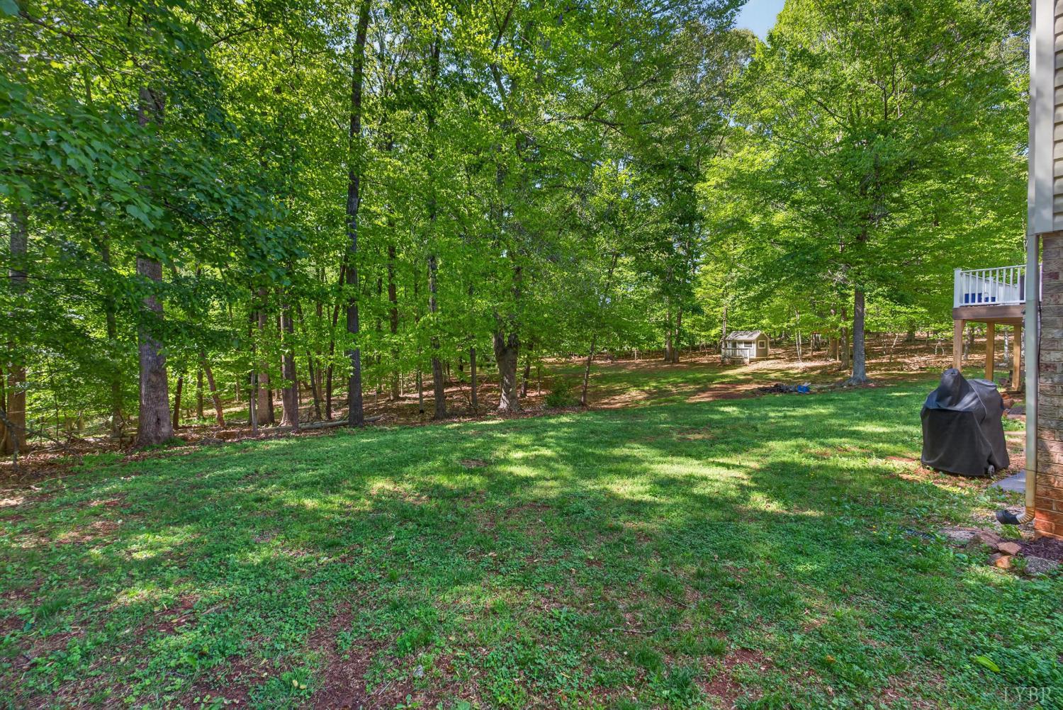 261 Blue Ridge Lane Amherst, VA 24521 - Photo 61 of 81