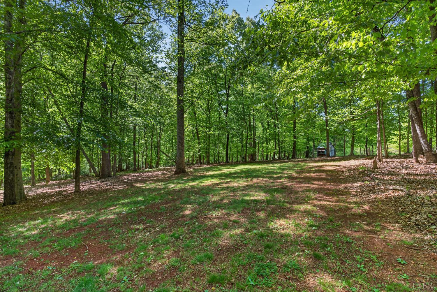 261 Blue Ridge Lane Amherst, VA 24521 - Photo 68 of 81