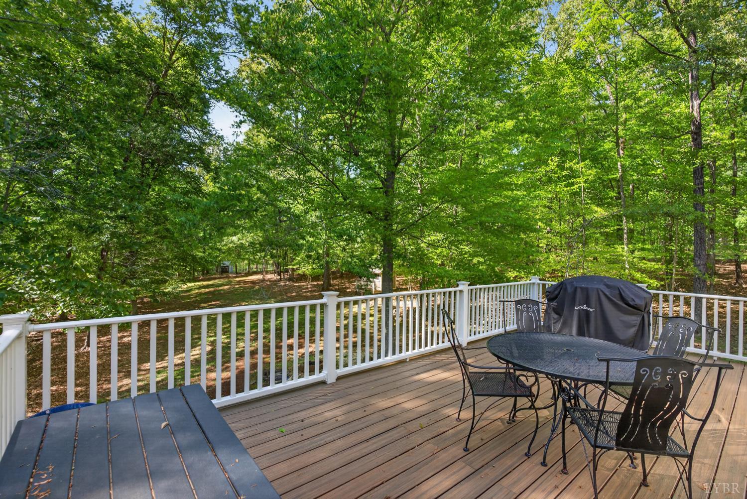 261 Blue Ridge Lane Amherst, VA 24521 - Photo 74 of 81