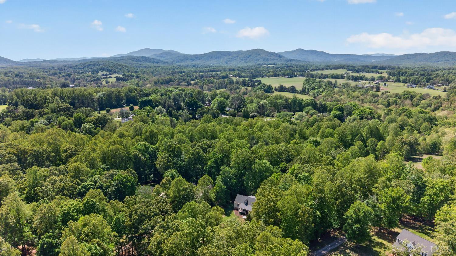 261 Blue Ridge Lane Amherst, VA 24521 - Photo 80 of 81