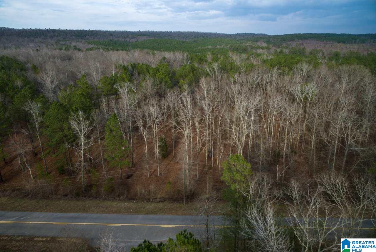 Deer Run Road, Unit 2 Alabaster, AL 35007 - Photo 3 of 6
