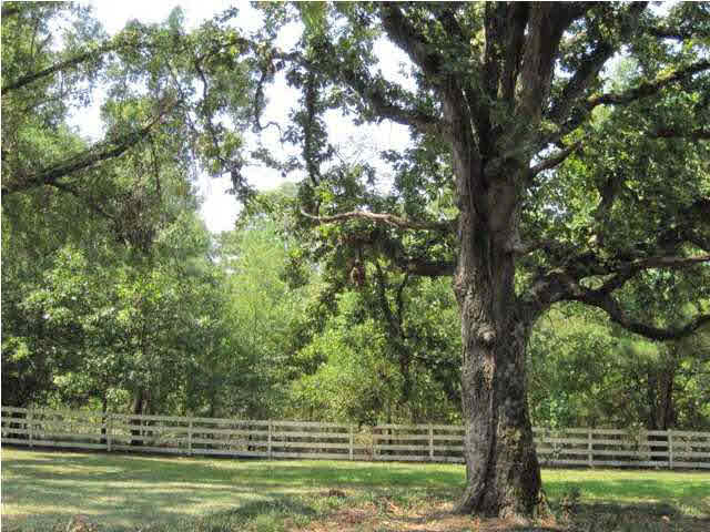 508 Smith-Carr Road Canton, MS 39046 - Photo 11 of 16 Photo 11