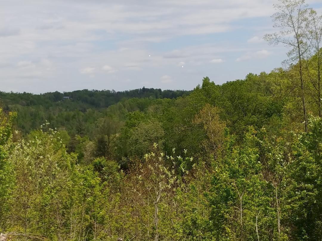 John Smith Road Oneida, TN 37841 - Photo 1 of 6 thumbnail (3)