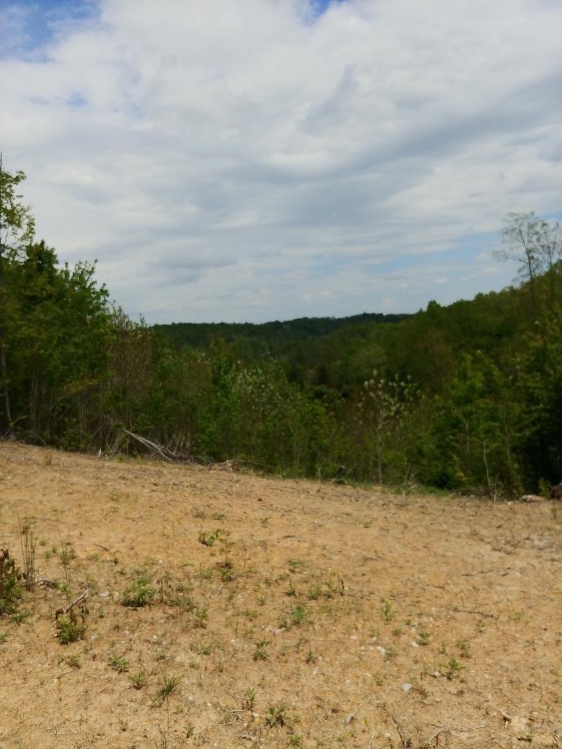 John Smith Road Oneida, TN 37841 - Photo 2 of 6 thumbnail (4)