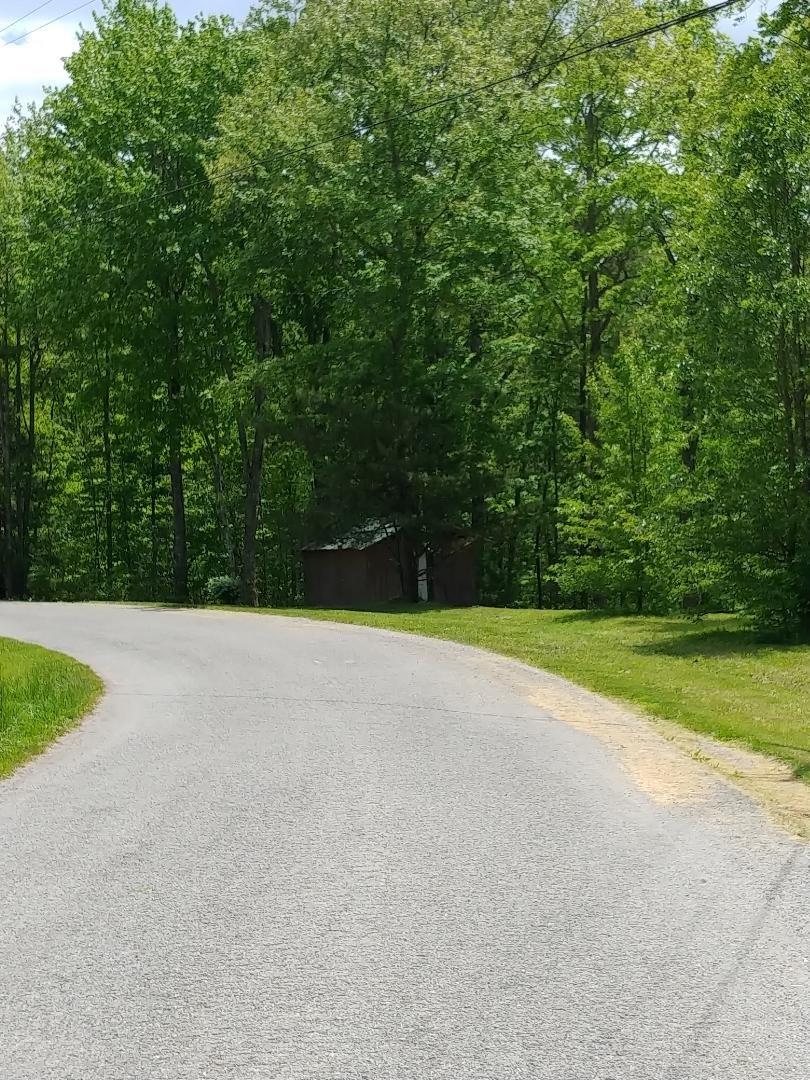 John Smith Road Oneida, TN 37841 - Photo 3 of 6 thumbnail (5)
