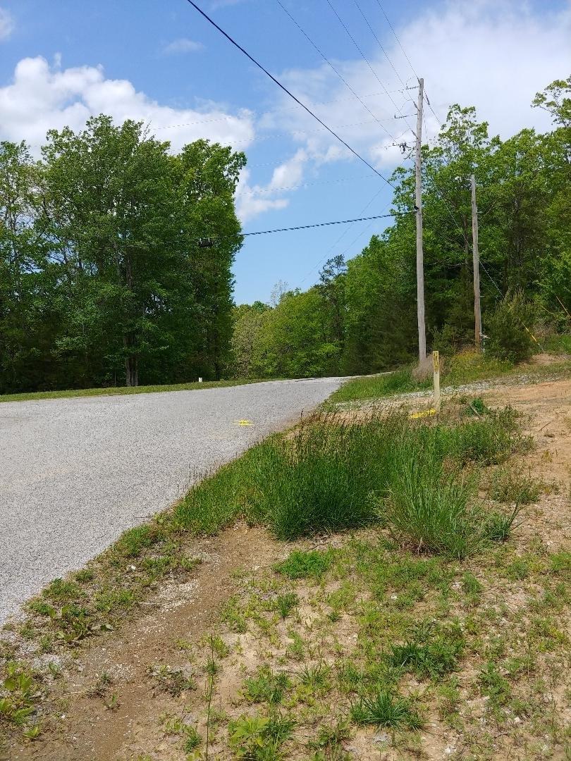 John Smith Road Oneida, TN 37841 - Photo 4 of 6 thumbnail (6)