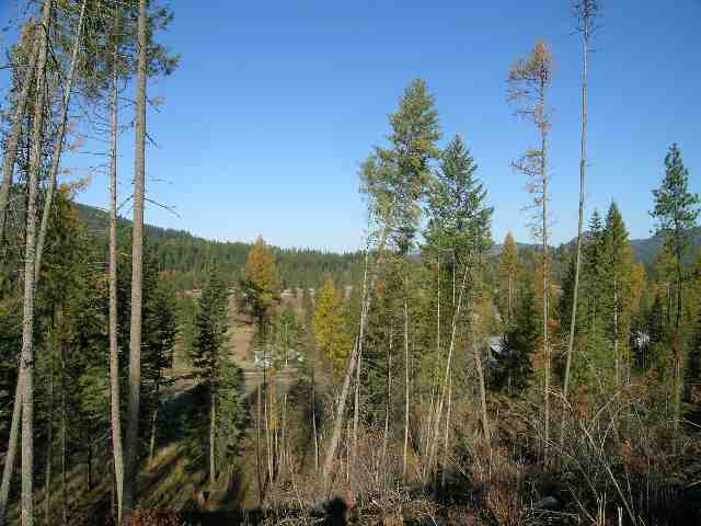 3570 Beitey Road Loon Lake, WA 99148 - Photo 6 of 7