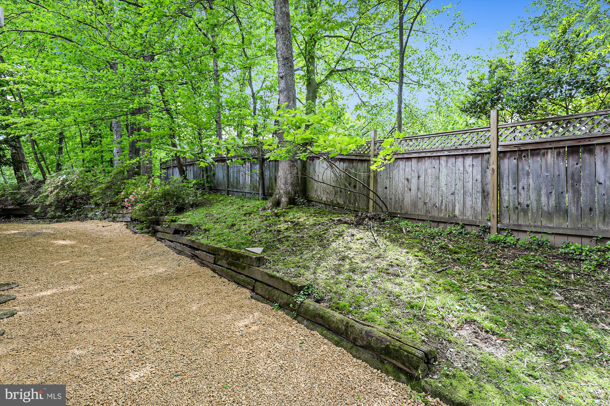 6604 Persimmon Tree Road Bethesda, MD 20817 - Photo 49 of 53 Yard