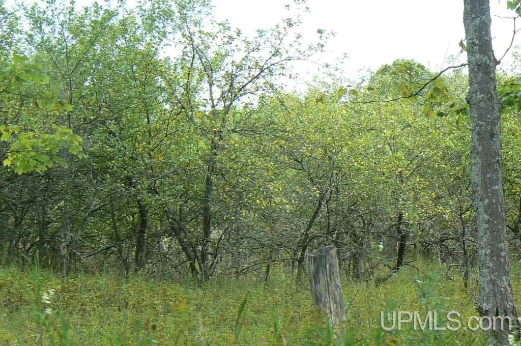Tbd North Tbd N Eben Road Eben Junction, MI 49825 - Photo 3 of 6