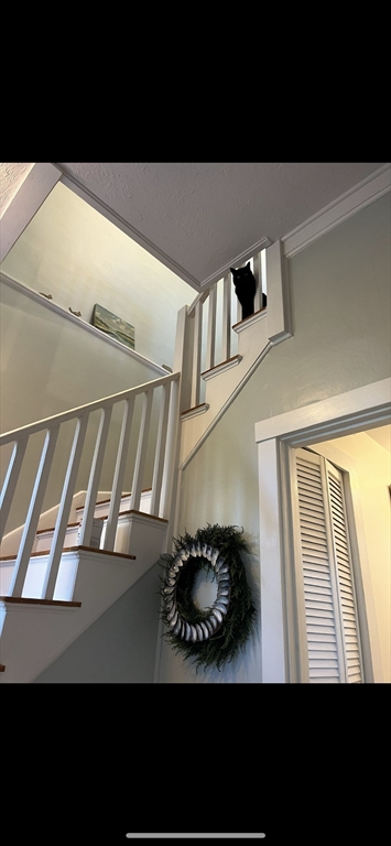 20 Manataug Trail Marblehead, MA 01945 - Photo 21 of 25