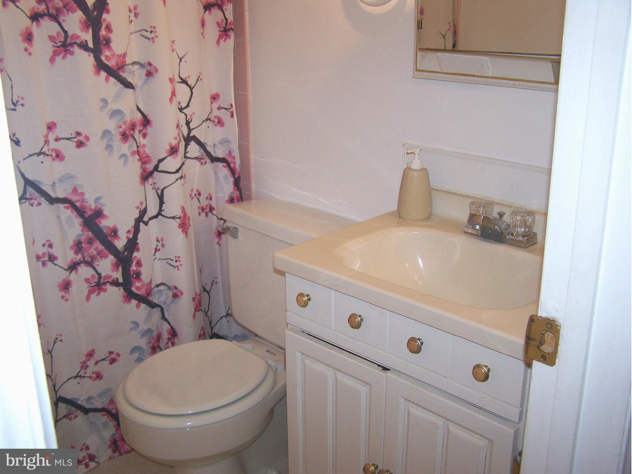 44 Wakefield Road Hagerstown, MD 21740 - Photo 22 of 30 a bathroom with a sink and toilet