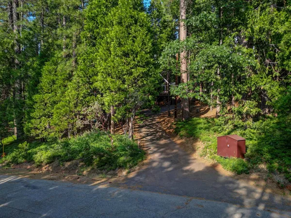 a pathway with a yard
