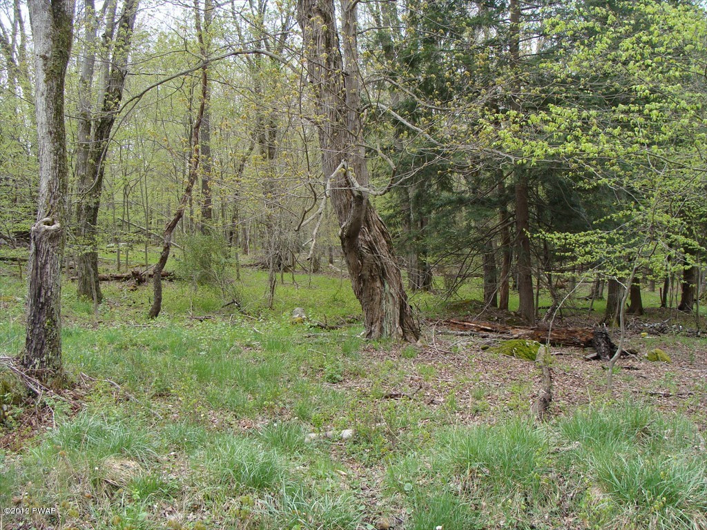 106 Sawmill Road Lake Ariel, PA 18436 - Photo 1 of 7 Gallery Image 1