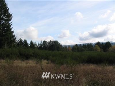 -l-1 L-1 Round Tree Road Curtis, WA 98538 - Photo 1 of 1