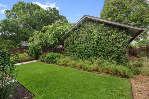 a view of a park with large trees