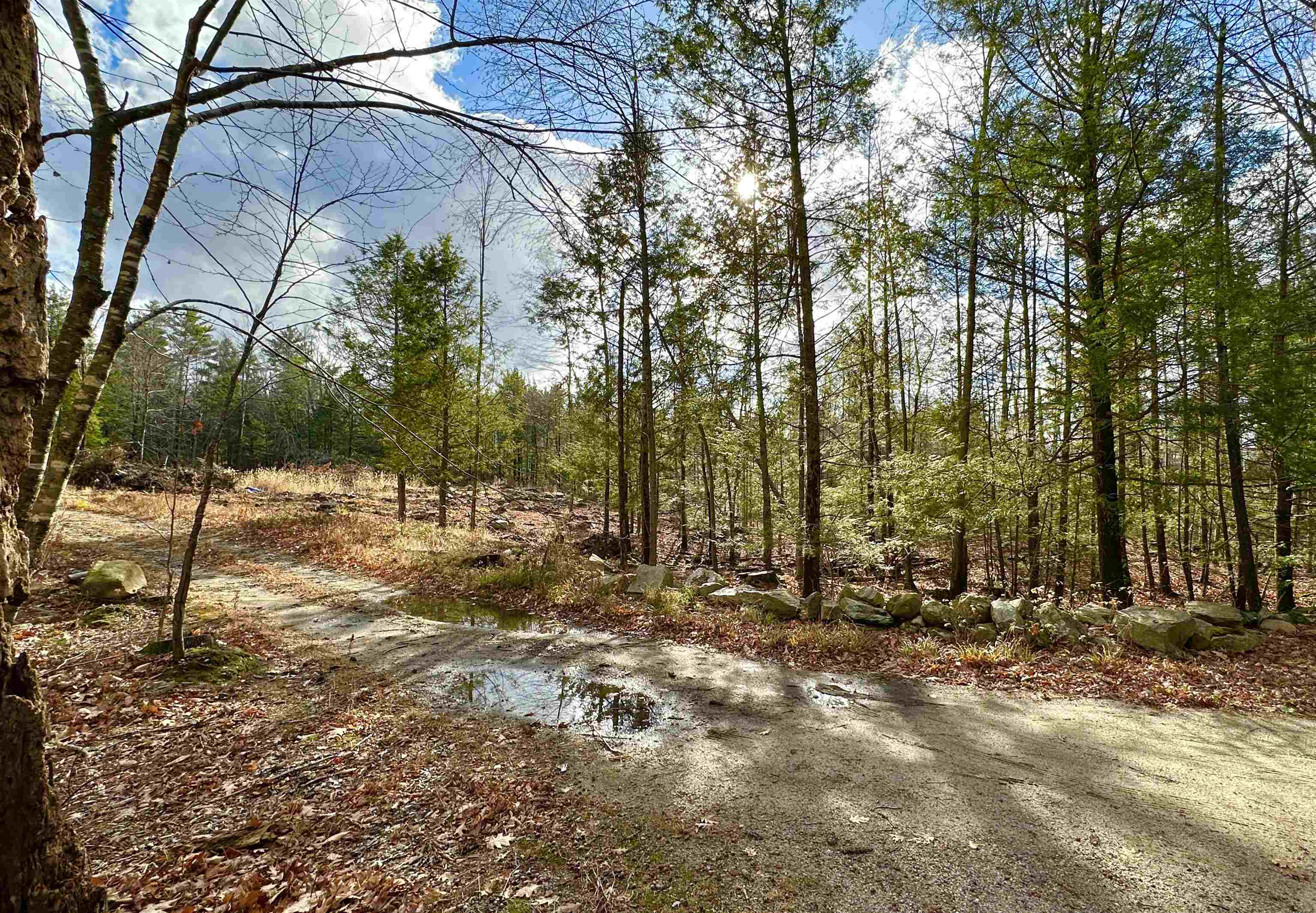 Lot 2 Remington Road, Unit 2 Mont Vernon, NH 03057 - Photo 1 of 7