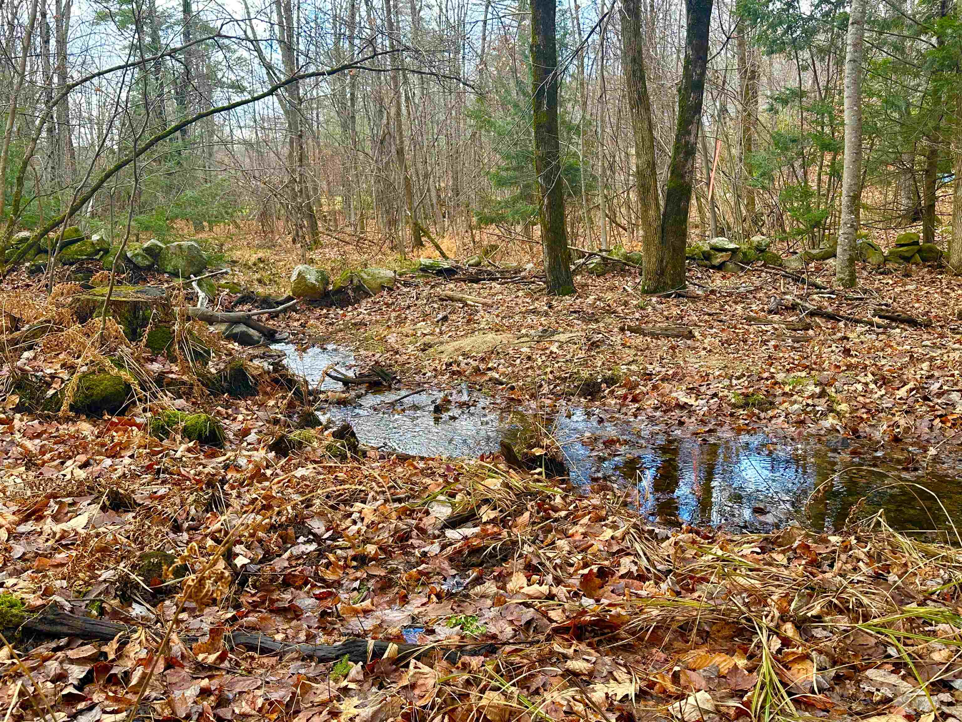 Lot 2 Remington Road, Unit 2 Mont Vernon, NH 03057 - Photo 3 of 7